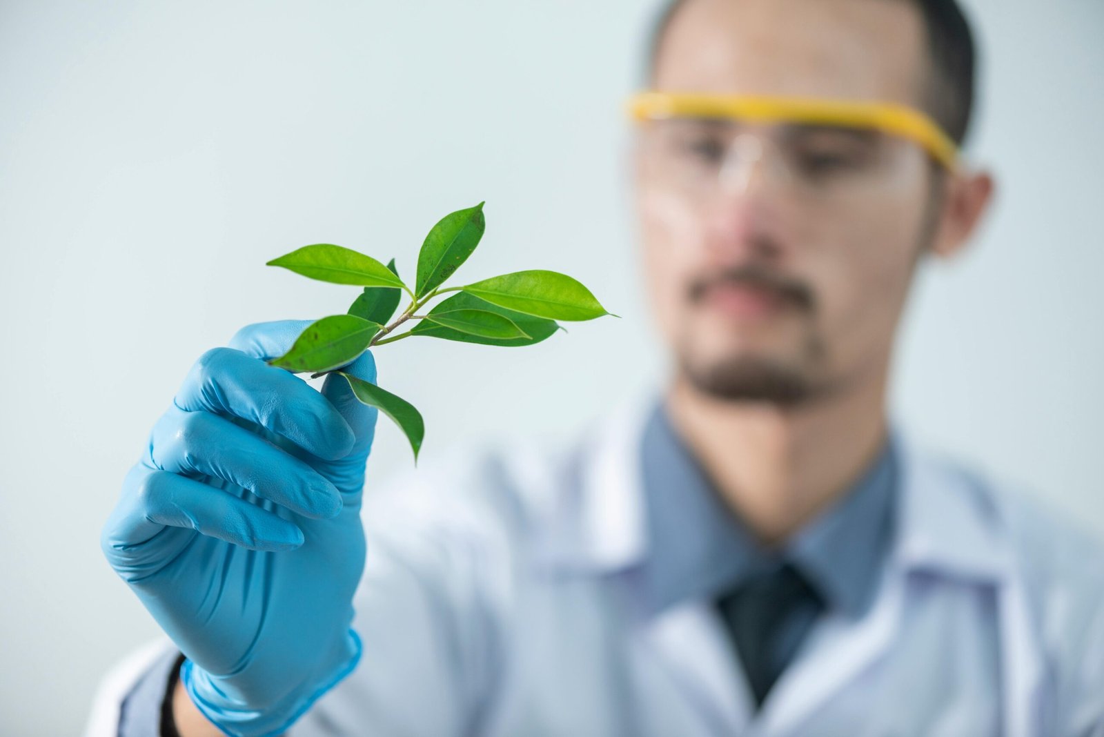 Person carefully examining a green leaf, symbolizing focus and attention to detail.