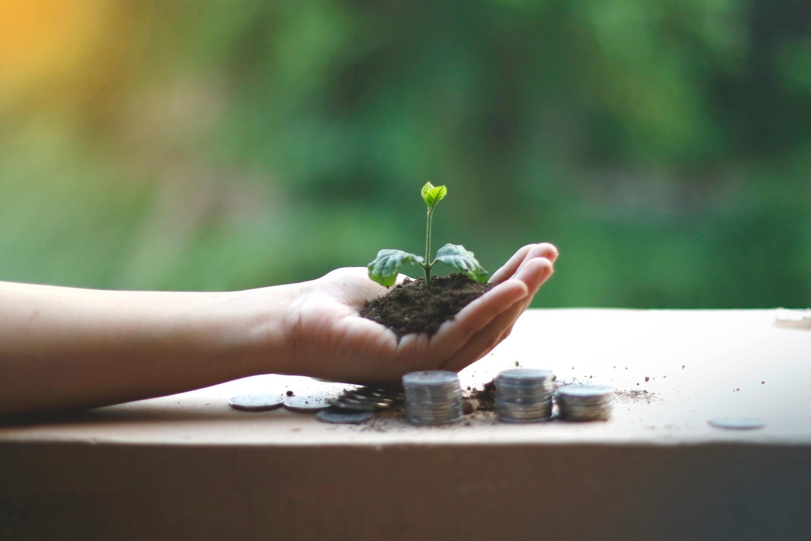 A hand gently holding soil with a small green plant growing, placed beside stacked coins, symbolizing simple lifestyle changes and personal growth over time.